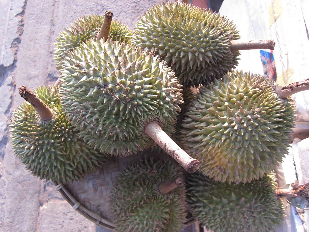 Sầu riêng nguyên trái xếp thành đống với cuống nhìn rõ.