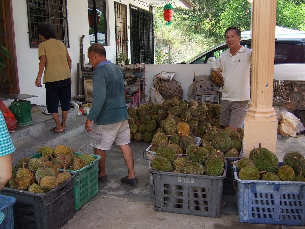Whole durians sorted into unbranded crates at a fruit collection point.