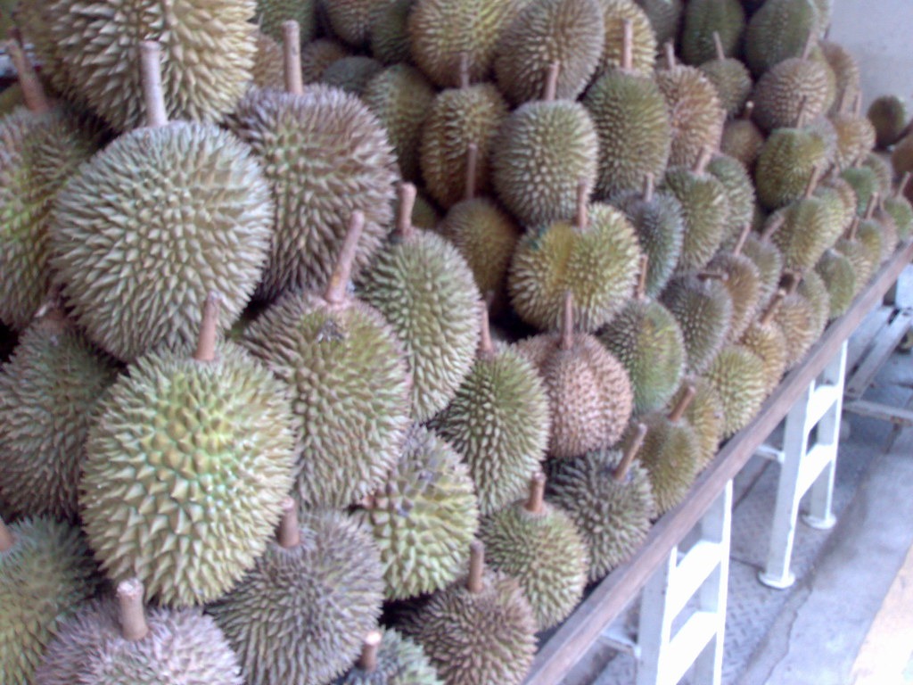 Sầu riêng nguyên trái được bày thành nhiều hàng ở chợ.