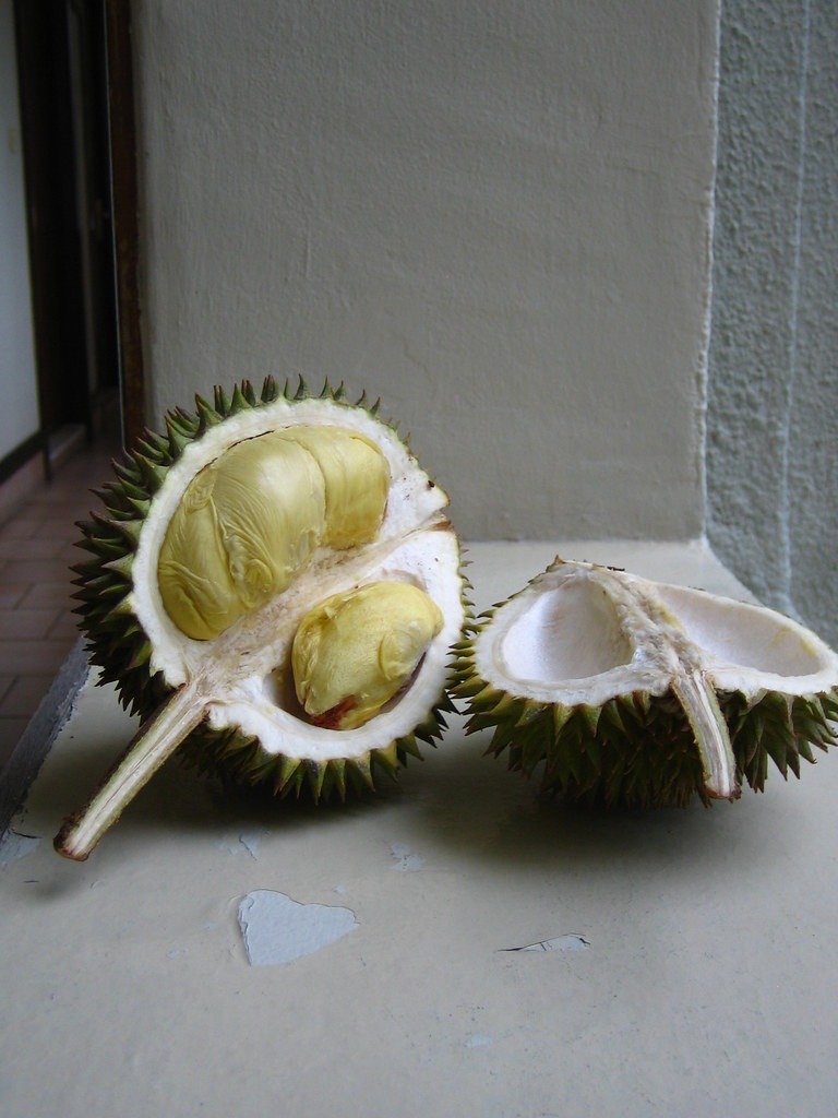 An opened durian resting beside its empty husk.