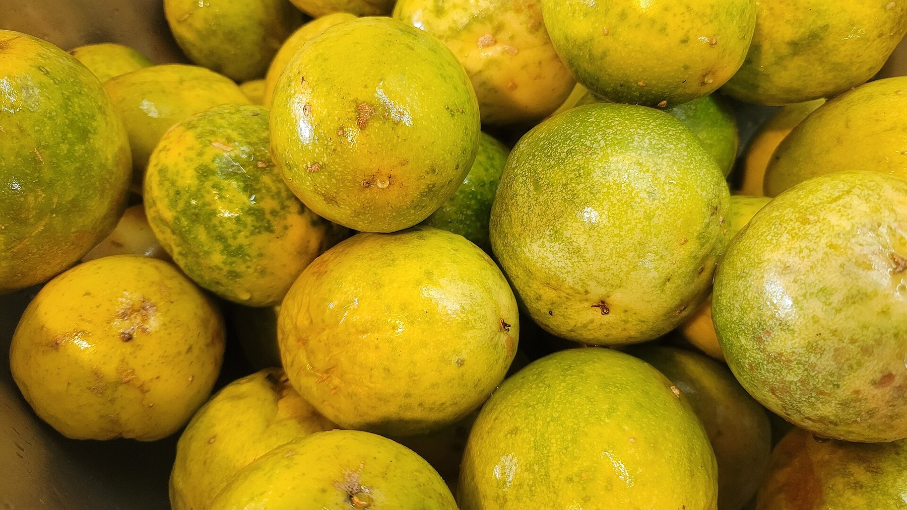 Whole yellow passion fruit displayed together.