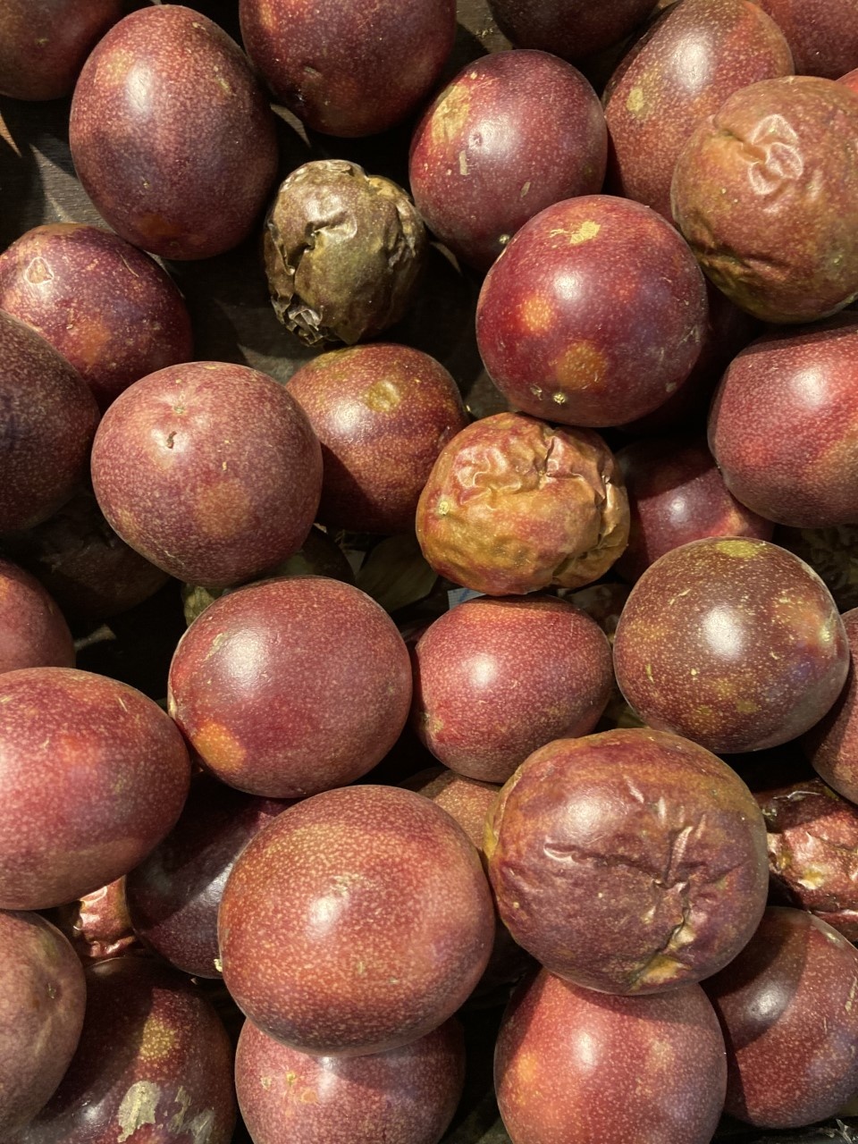 Loose purple passion fruit with a range of skin textures.