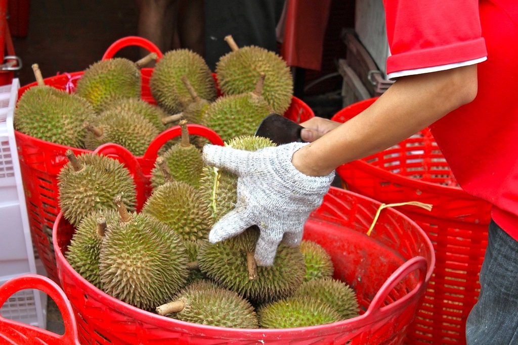 Gloved hands sorting whole durians in red baskets.