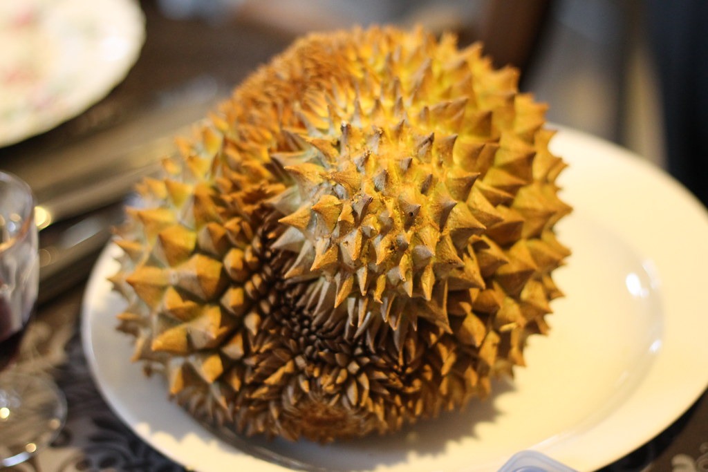 A whole durian with a richly textured husk on a white plate.