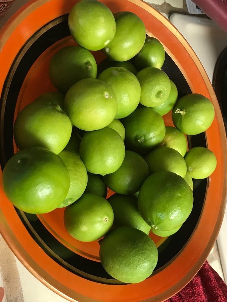 ثمار ليمون أخضر فارسي مقطوفة حديثا ومرتبة في وعاء.