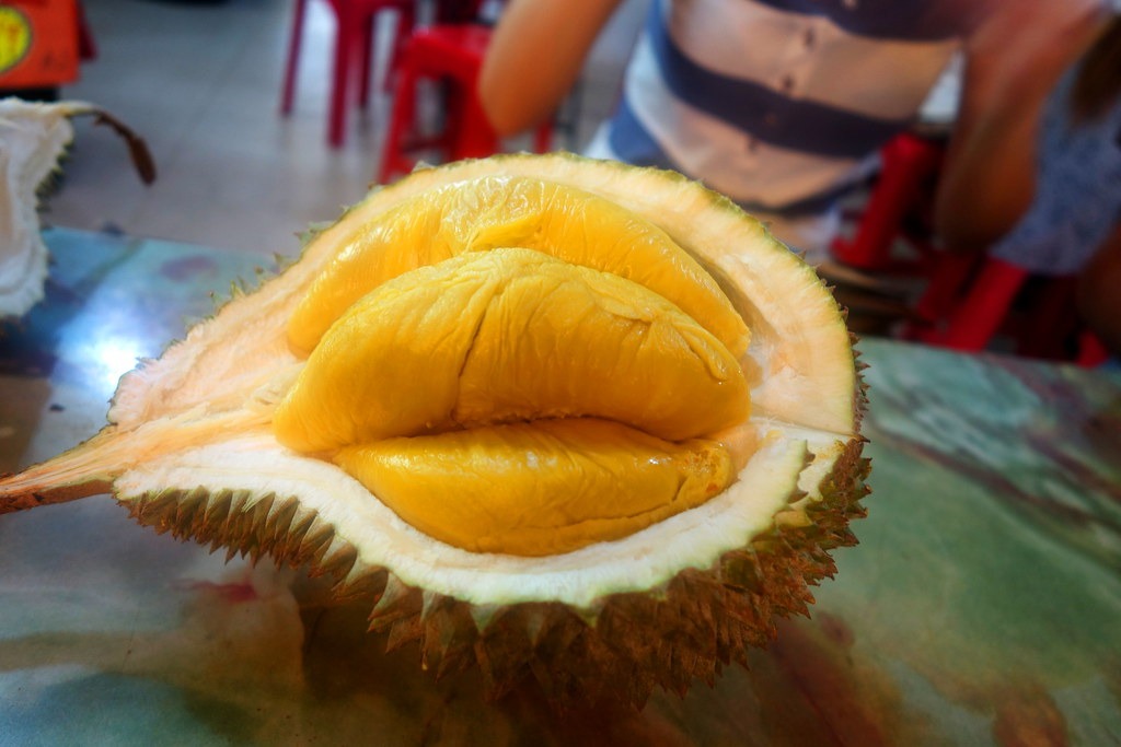 Cơm sầu riêng màu vàng nằm trong lớp vỏ đã mở.