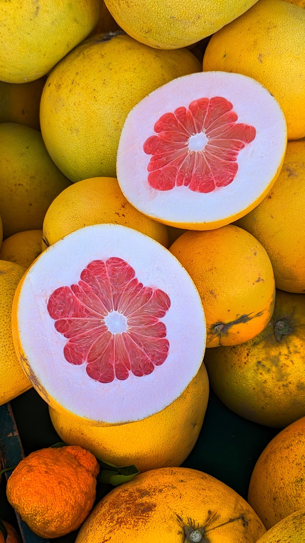 Pink-flesh pomelo halves displayed among whole yellow pomelos.